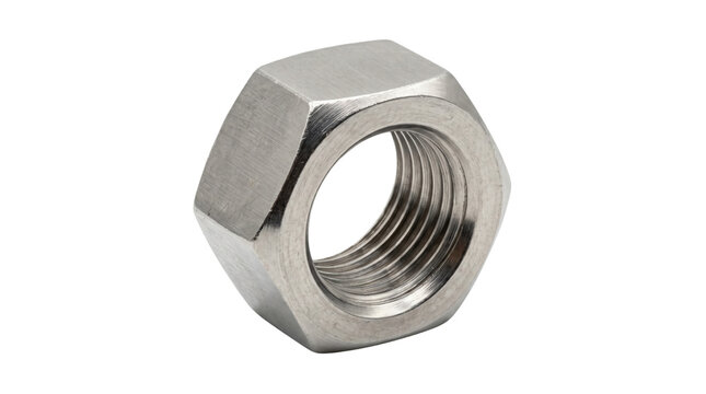 Hex Nut
