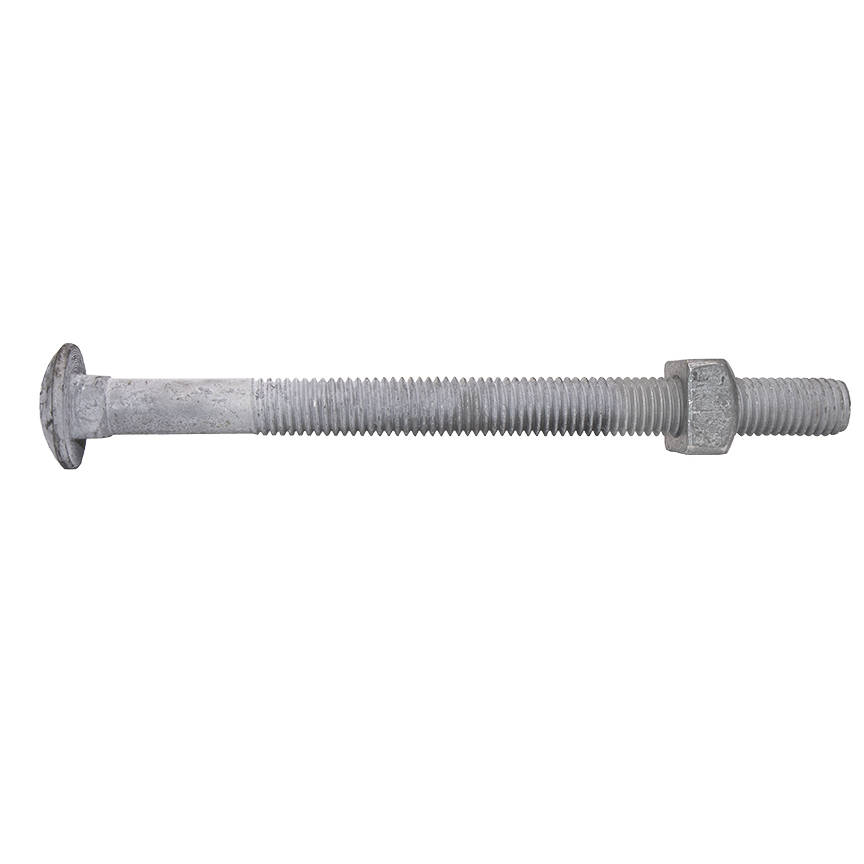 Carriage Bolts